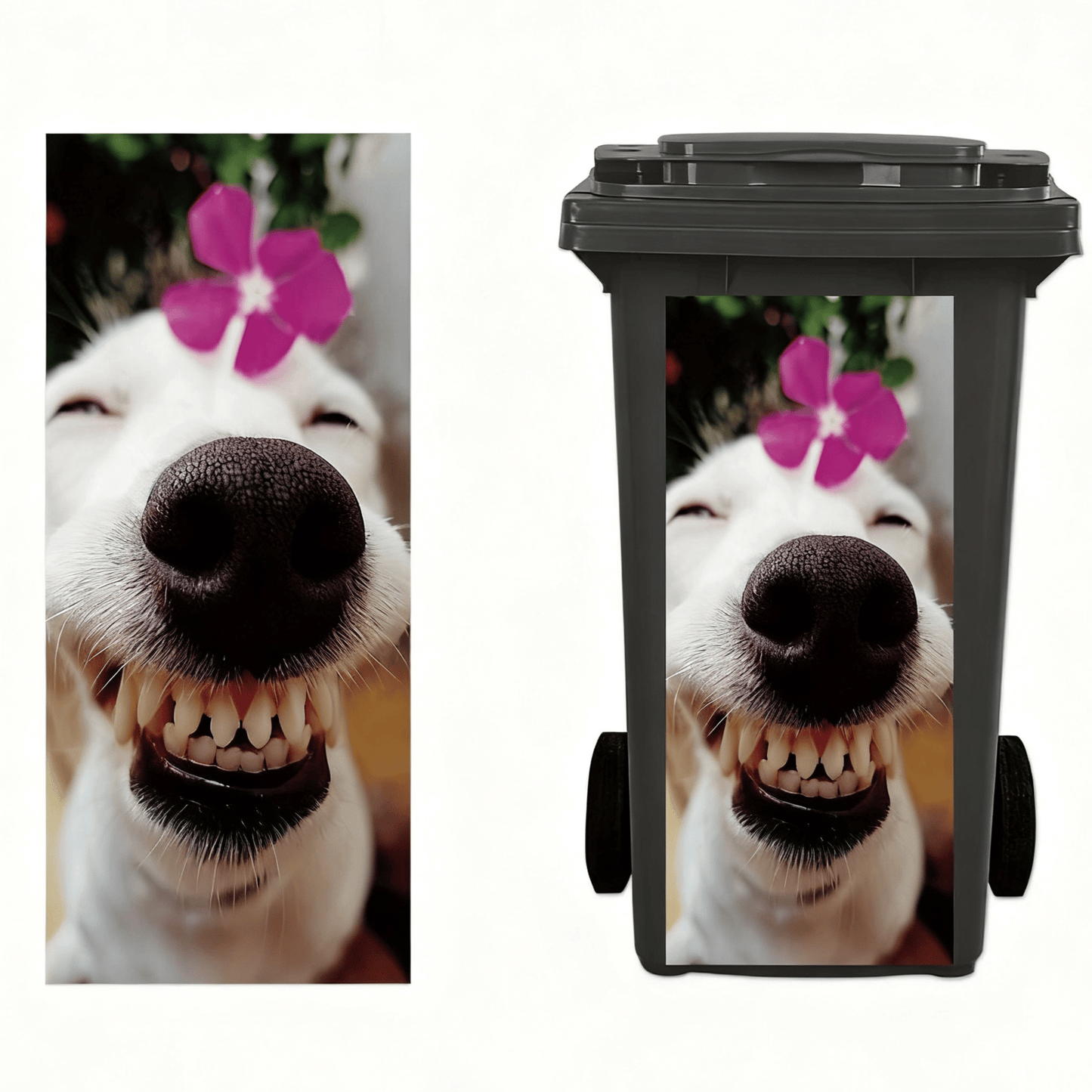 š« Donkey Painting Trash Can Sticker