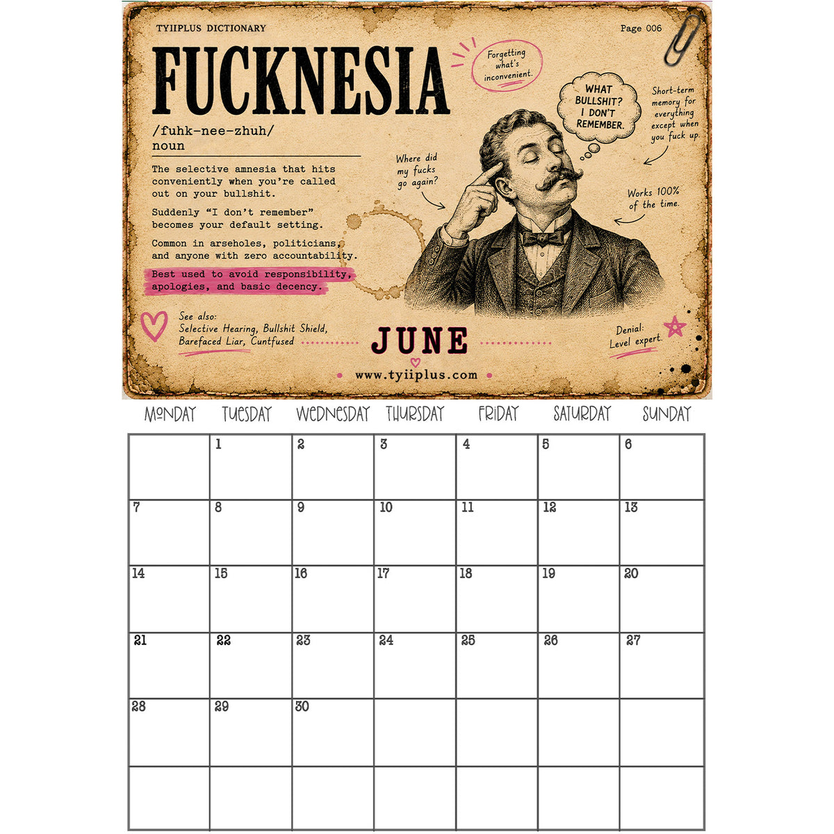 TYIIPLUS 2027 Dictionary Wall Calendar – Definitions of Life, By Life
