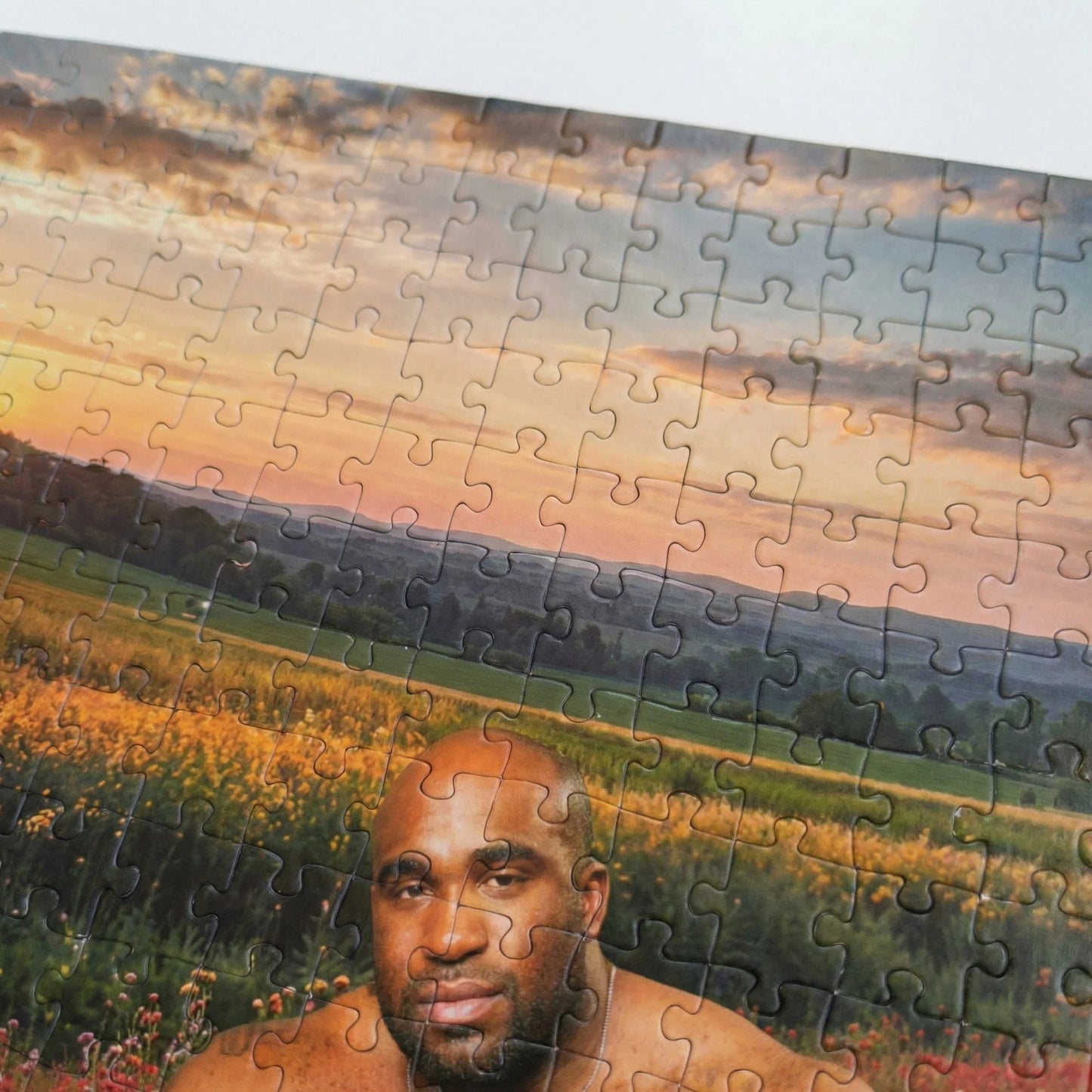 Barry Field Prank Puzzle