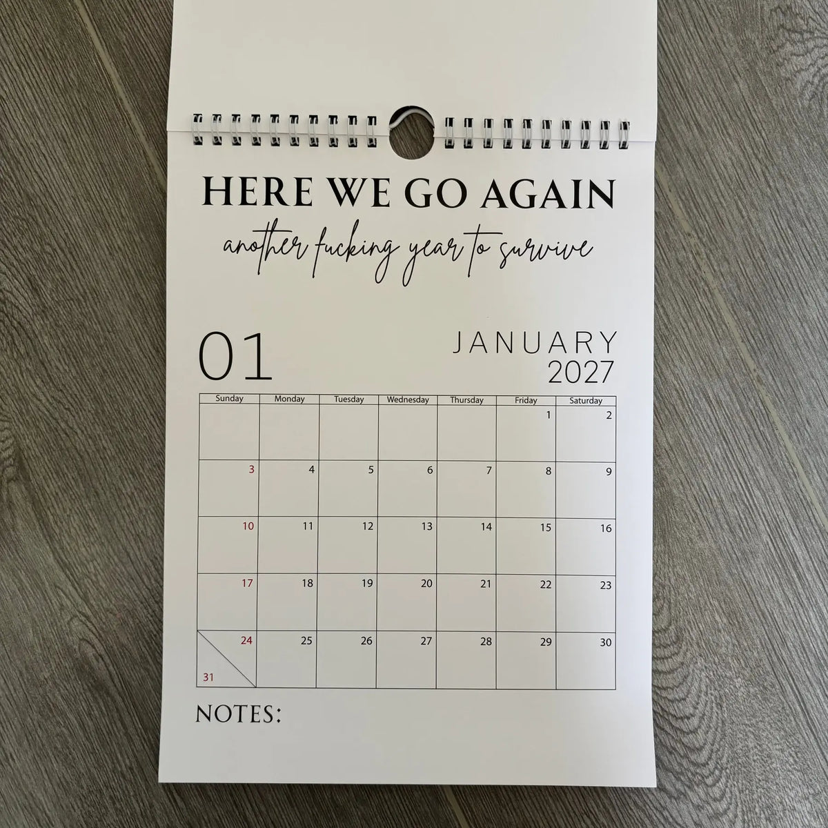 Fuck It Calendar 2027, Funny Sweary Wall Calendar