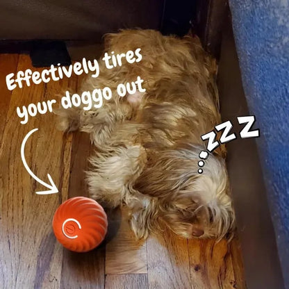 Smart Interactive Bouncing Ball