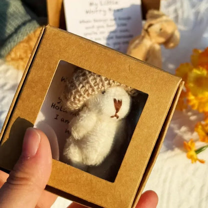 🎁Handmade Mini Plush Teddy Bear in Box