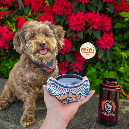 🐶2-in-1 Reversible Dog Bandana Bowl, Lightweight Spill-Proof TPU Travel Feeding Bowl for All Dogs Outdoor Hiking Camping💧