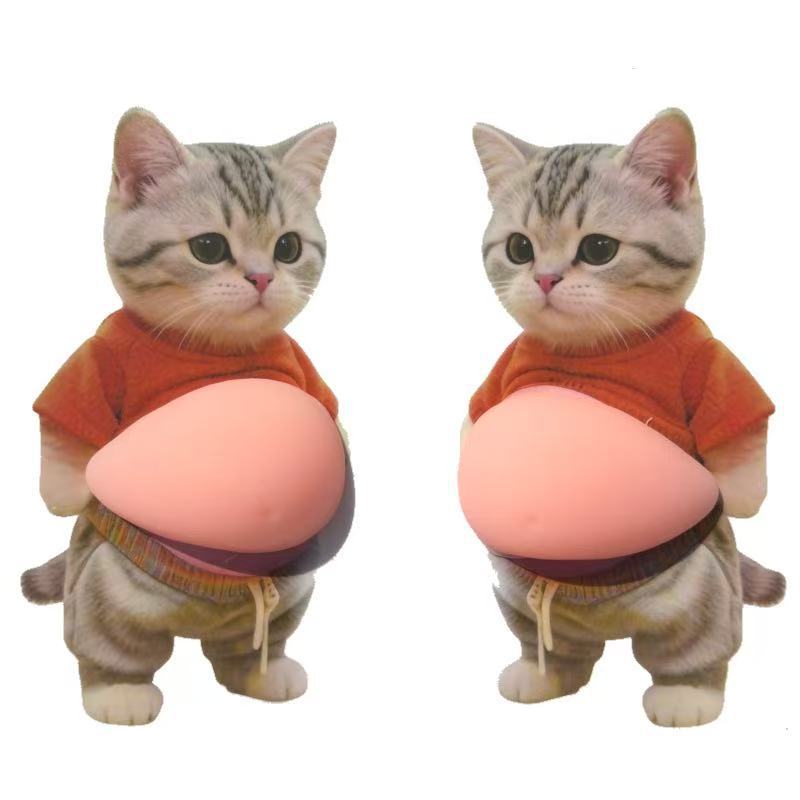 3D Dog & Cat Belly Squishy Stickers - A pair(2 Pcs)